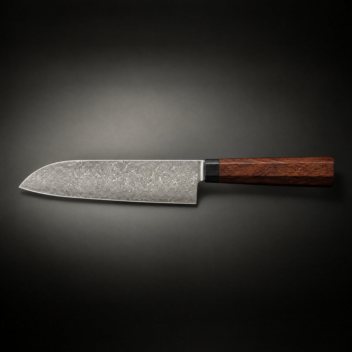 Kenshin Santoku Knife, full side profile
