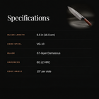 Akitsu Gyuto Chef Knife specifications
