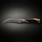 Tsukikage Bird's Beak Peeling Knife, full side profile