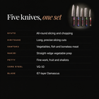 Retsu Damascus Knife Set specifications