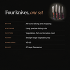 Shinzan Damascus Knife Set specifications