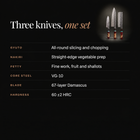 Tenryu 3-Piece Knife Set (Gyuto, Nakiri & Petty) specifications