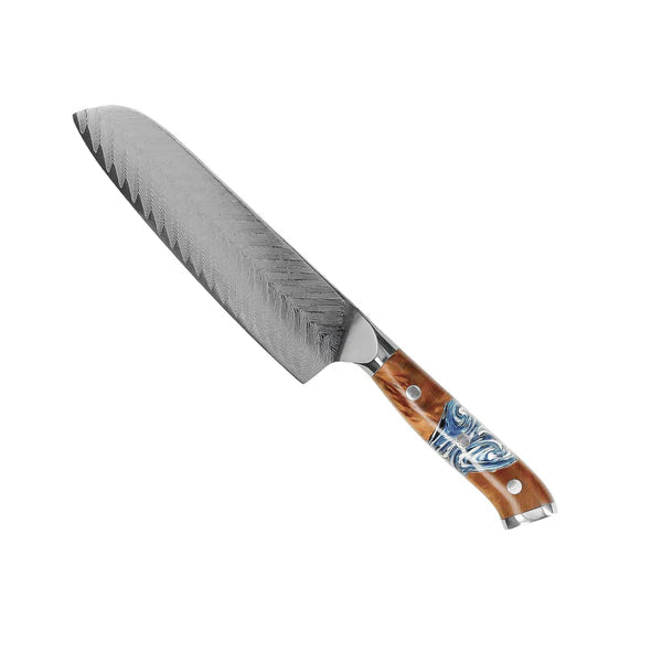 Japanese Damascus Knife Set – 9-Piece Versatile Blade