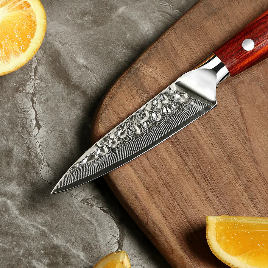 Japanese Damascus Kazoku 2-Piece Starter Set – 3.9-Inch (10 cm) & 8.3-Inch (21 cm) Precision Blades