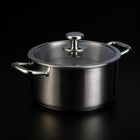 Titanium Cooking Pot with Lid