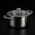 Titanium Cooking Pot with Lid